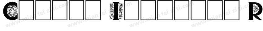 Caslon Initials Regu字体转换